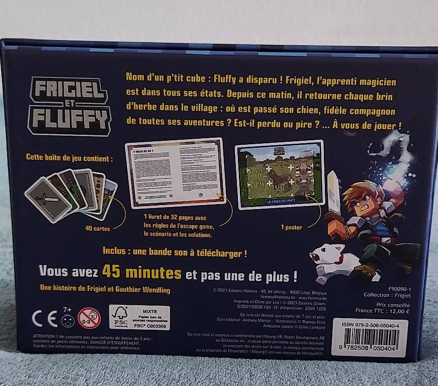 Giochi: Escape box de Frigiel et Fluffy – Usato da Gland venduto da pso_zsc6 1