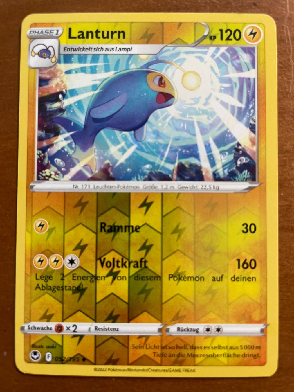 Pokémon Carte collezionabili: Pokemon Lanturn Reverse (Versand gratis) – Nuovo (secondo la descrizione) da Chur venduto da Angerson