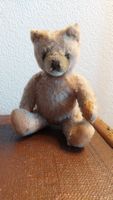 Süsser Teddybär sucht neues Zuhause - 50er Jahre