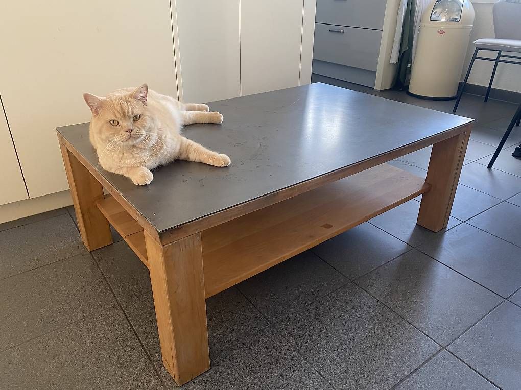 Tavoli: Wohnzimmer Tisch massiv  – Usato da Neuhausen venduto da Melkun1113 1