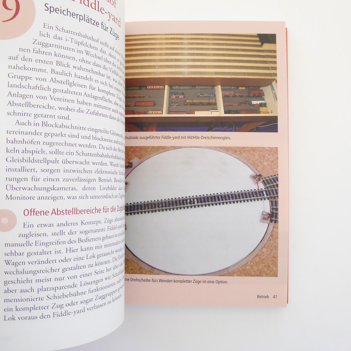 Libri: 101 Dinge die ein Modell-Eisenbahner wissen muss – Usato da Basel venduto da Kunterbunt12 8