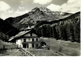 Hof Zuort mit Stammerspitze
