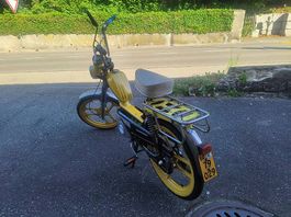 Pony Sachs ohne Ausweis .lauft