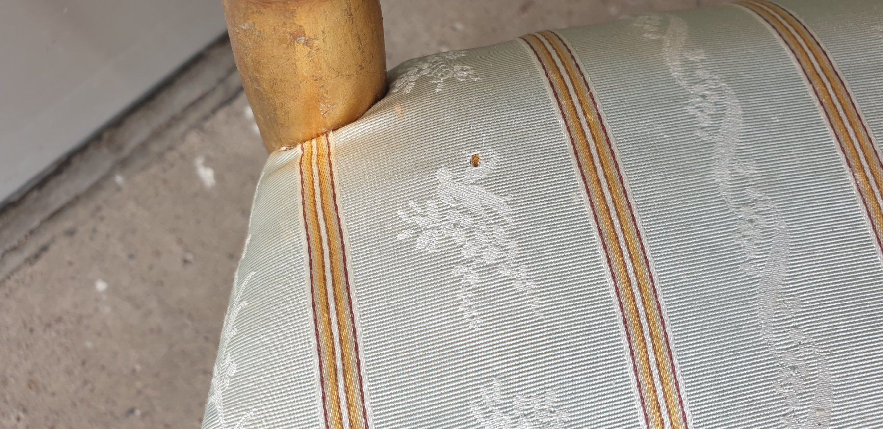 Chaises: Chiavari Stuhl – D'occasion à Emmen par Brockofsky 4