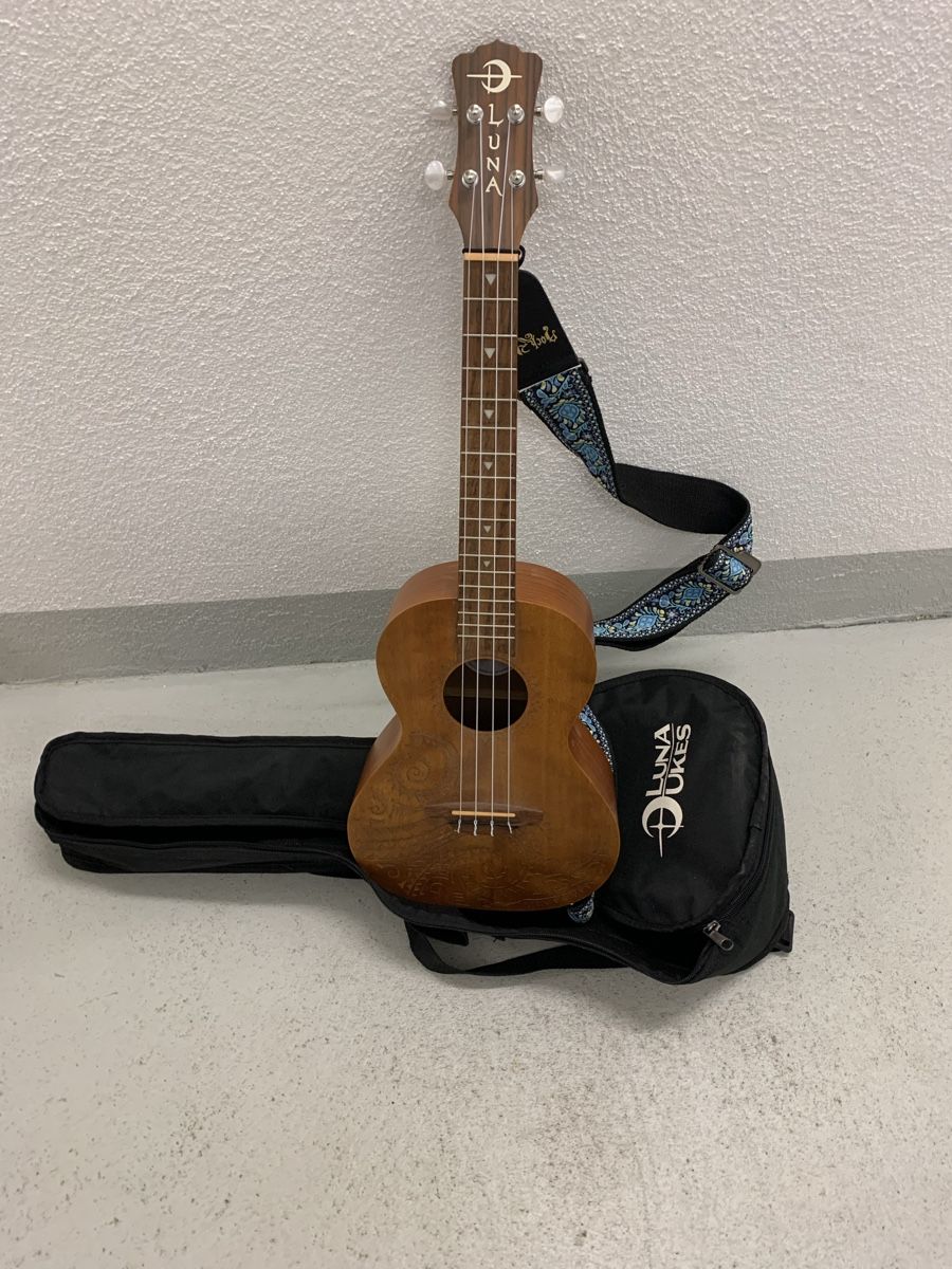 Strumenti musicali: Tenor-Ukulele mit Lernheft – Nuovo (secondo la descrizione) da Hettlingen venduto da Timba02 1