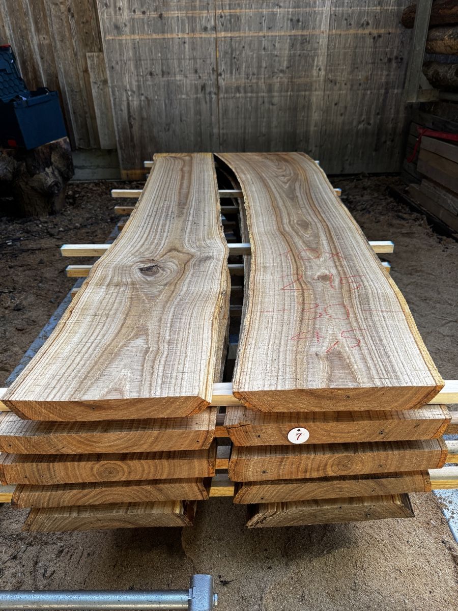 Articoli in legno: Schweizer Edelkastanien Bohlen – Nuovo (secondo la descrizione) da Horn venduto da joe_mb2d 2
