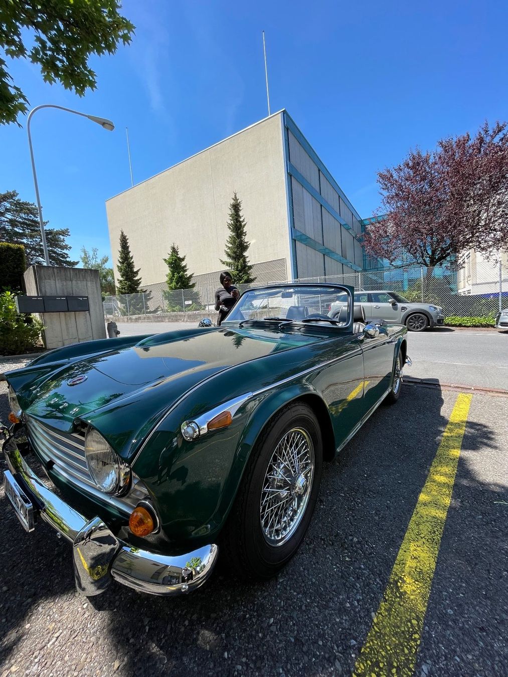 Triumph Automobili: Triumph TR4A – Usato da Zürich venduto da rafi121 5