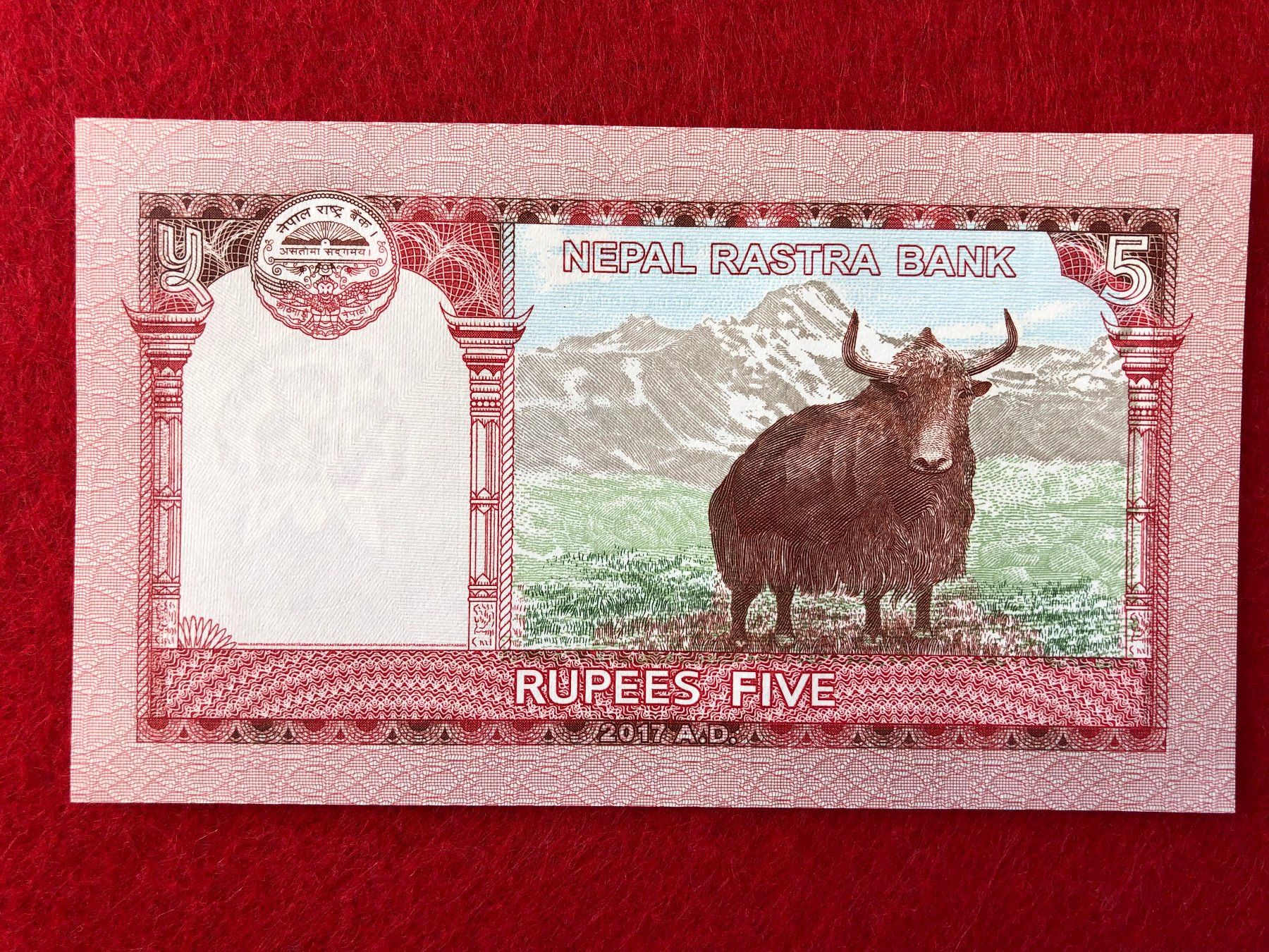 Banconote: Nepal - 5 x 5 Rupien UNC - Mount Everest – Nuovo e nell'imballaggio originale da Pfäffikon SZ venduto da Sieben77 3