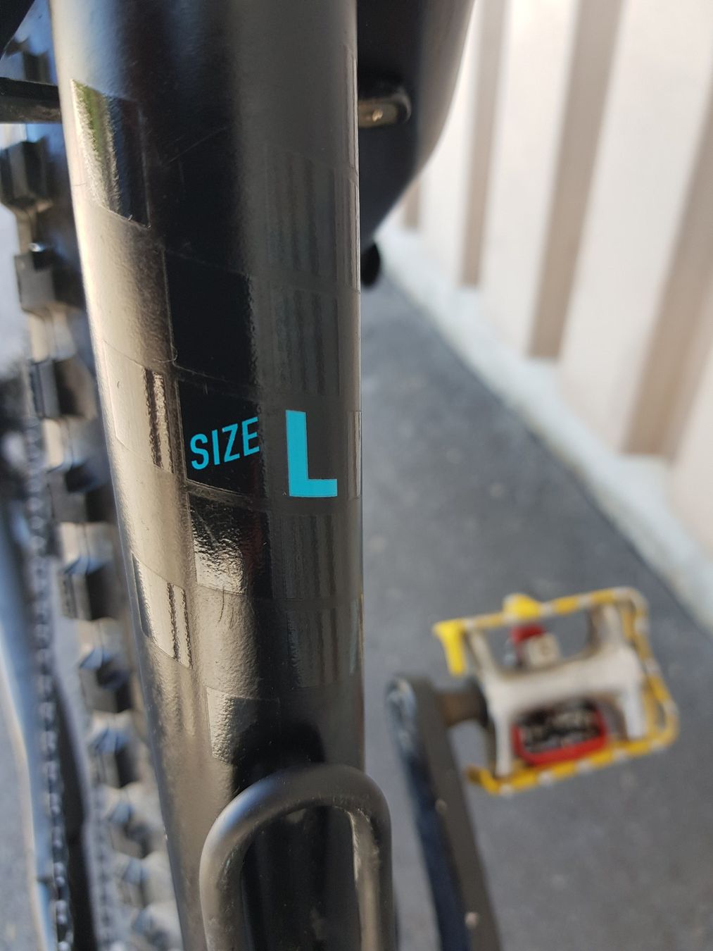Focus Biciclette: Focus E-Mountainbike 29" Shimano XT – Usato da Lengnau AG venduto da TDCB 3