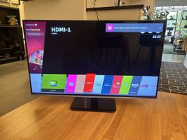 50“ LG / inkl. Standfuss mit Wandhalterung