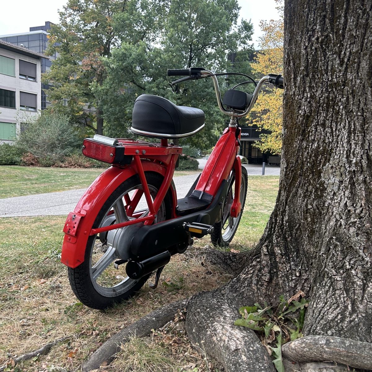Piaggio Ciclomotori: Piaggio ciao - Top Zustand – Usato da Ipsach venduto da InterEngine 2