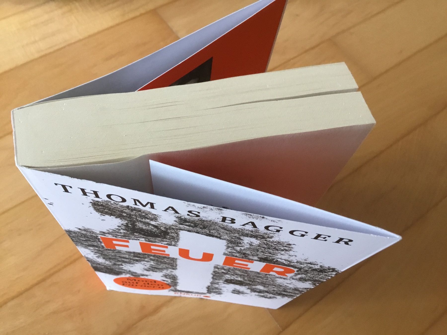 Bücher: Thomas Bagger - Feuer: Mord auf den Färöern, Thriller – Gebraucht aus Kerzers von Georges3210 3