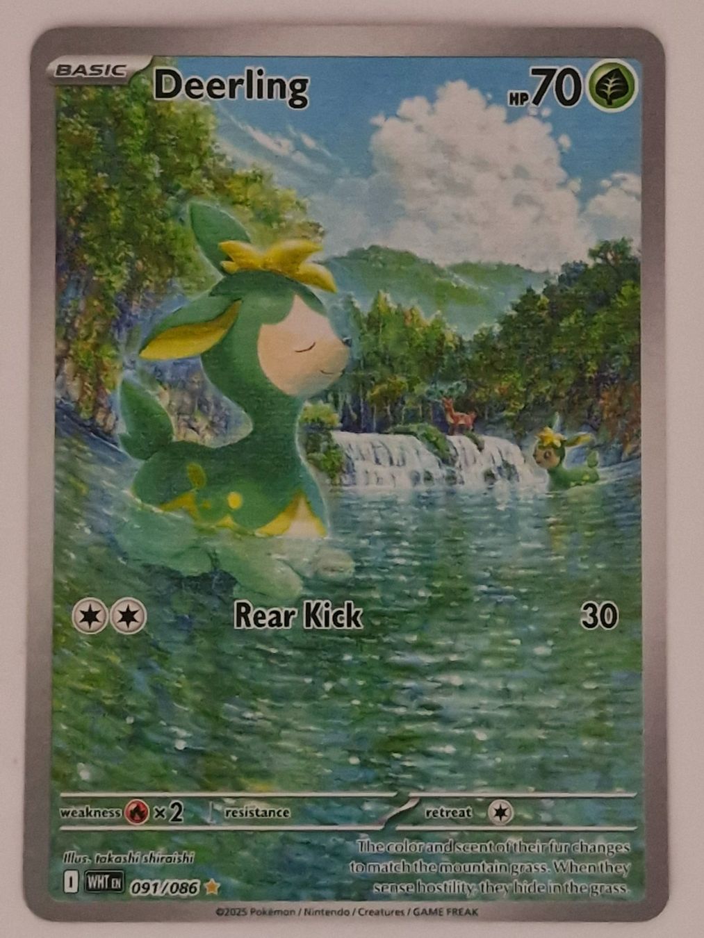 Pokémon Carte collezionabili: Deerling / Sesokitz / White Floare / WHT 091 – Nuovo (secondo la descrizione) da Arni AG venduto da PokemonCardsStore
