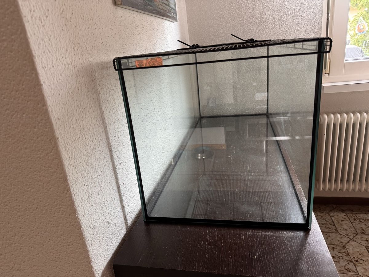 Terrariums: Terrarium – D'occasion à Recherswil par luca_v 2