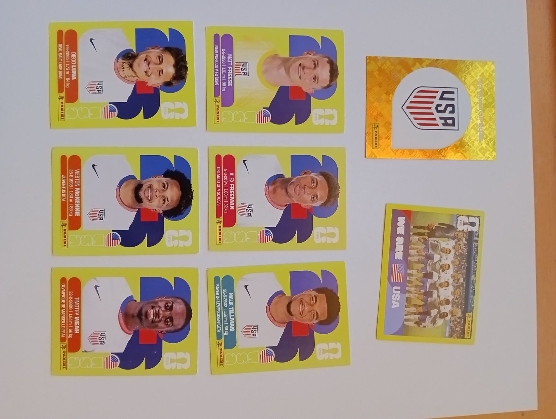 Panini Carte collezionabili: Panini 2026 USA – Nuovo (secondo la descrizione) da Wetzikon ZH venduto da stekun84