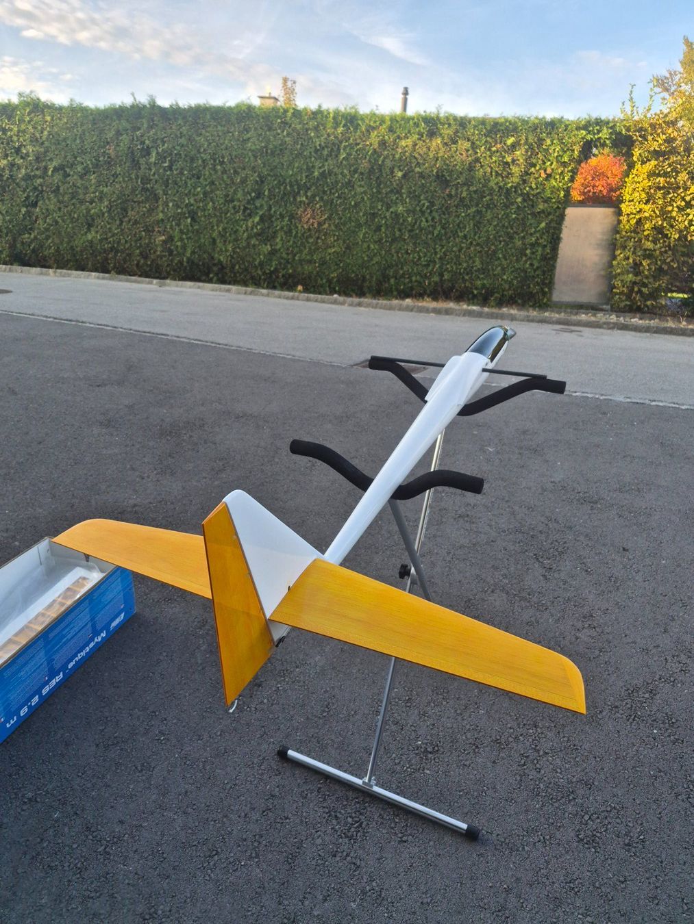 E-Flite RC Modellbau: Mystique 2.9 RES – Gebraucht aus Oberriet SG von eri_h879 1