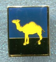 CAMEL