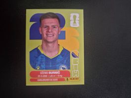 Panini WM 26 BIH 14