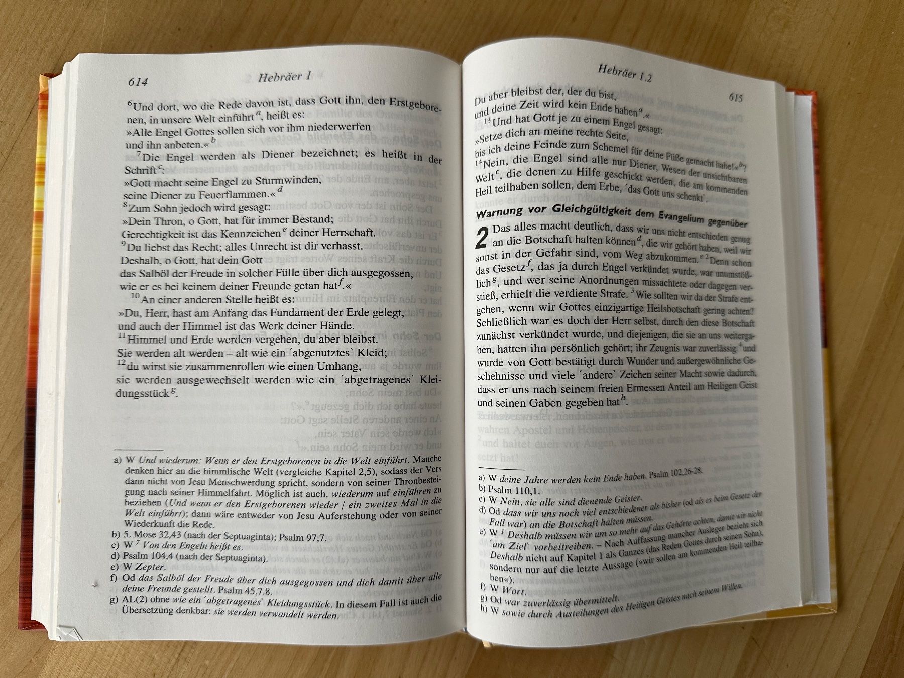Libri: Bibel NGÜ 2003 – Usato da Zürich venduto da ruedigg 2