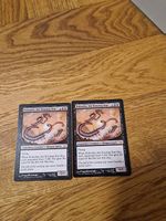 Magic the Gathering /Kokusho, the evening star