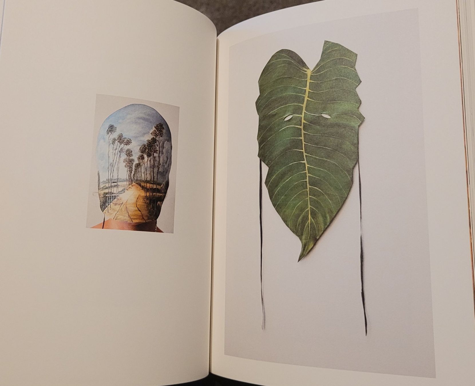 Libri: LAURA LIMA – Usato da Zürich venduto da Avd 5