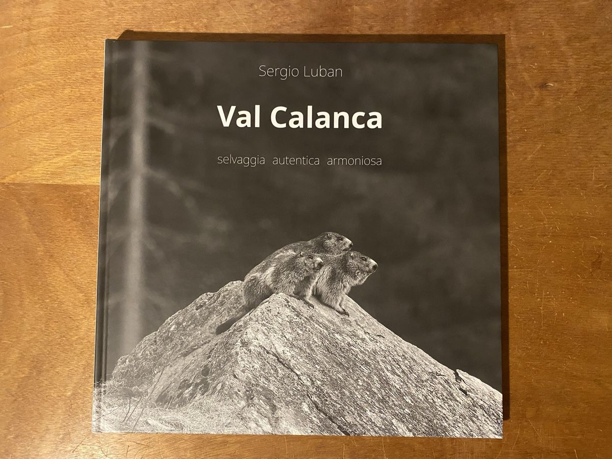 Libri: Val Calanca. Sergio Luban – Usato da Zürich venduto da WWehrle