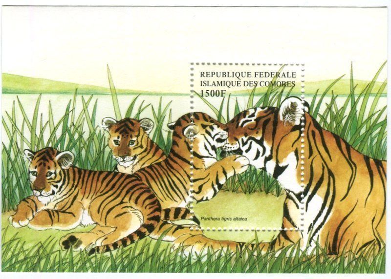 Tous les timbres: Block "Tiger". Komoren – Neuf avec emballage d'origine à Basel par Butsch5