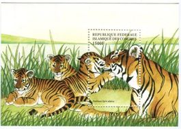 Block "Tiger". Komoren