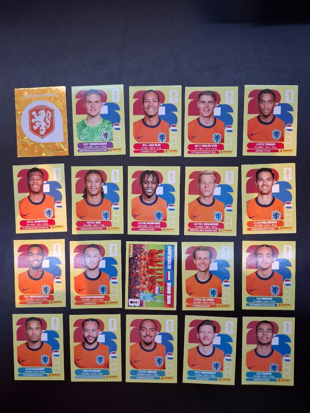 Panini Carte collezionabili: Panini ganzes Team Niederlande – Nuovo (secondo la descrizione) da Lieli venduto da Andrin.1901