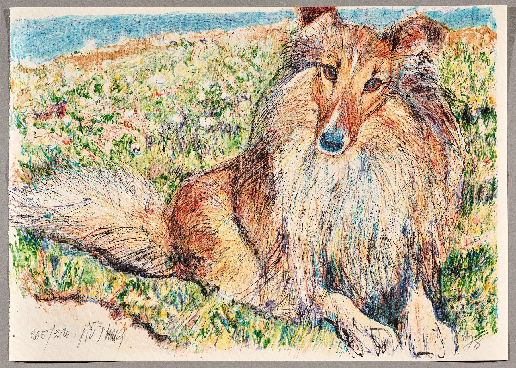 Grafica & Litografie: Fritz Hug Lithografie "Sheltie", handsigniert – Usato da Zürich venduto da CPH56