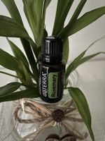 dōTERRA ätherisches Öl Rosmarin / Rosemary 15 ml OVP