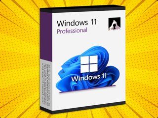 Windows 11 Professional* | Kaufen auf Ricardo