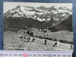 EIGENTAL KURORT KÜHE LU AK
