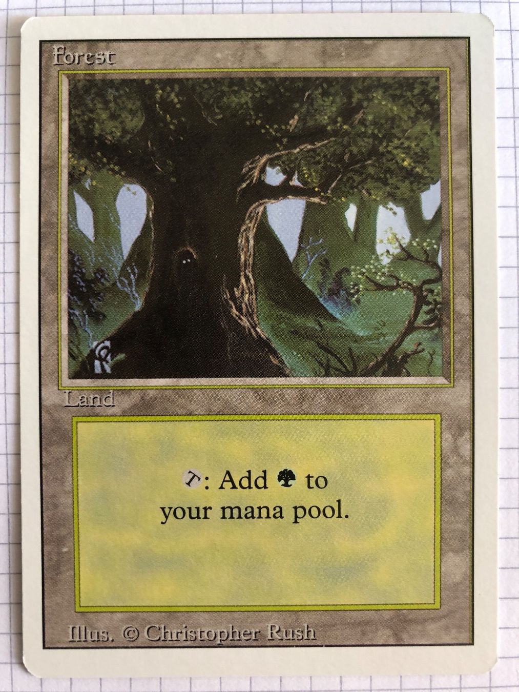 Magic The Gathering Carte collezionabili: Revised - Forest V3 - #direktkauf – Usato da Basel venduto da Melchior5