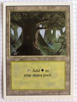 Revised - Forest V3 - #direktkauf