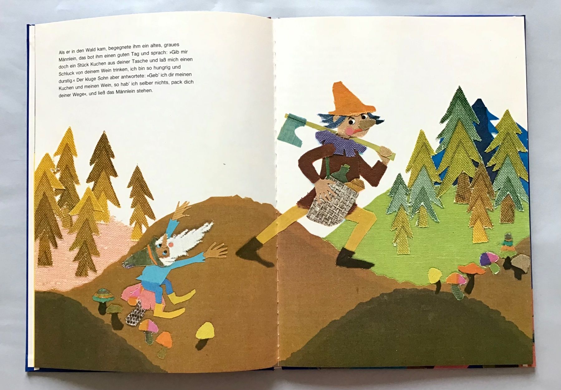 Libri: Bilderbuch: Die goldene Gans – Usato da Bubendorf venduto da Alpenheidi 4