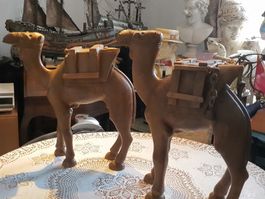 2 Wüstenkamele Exotenholz