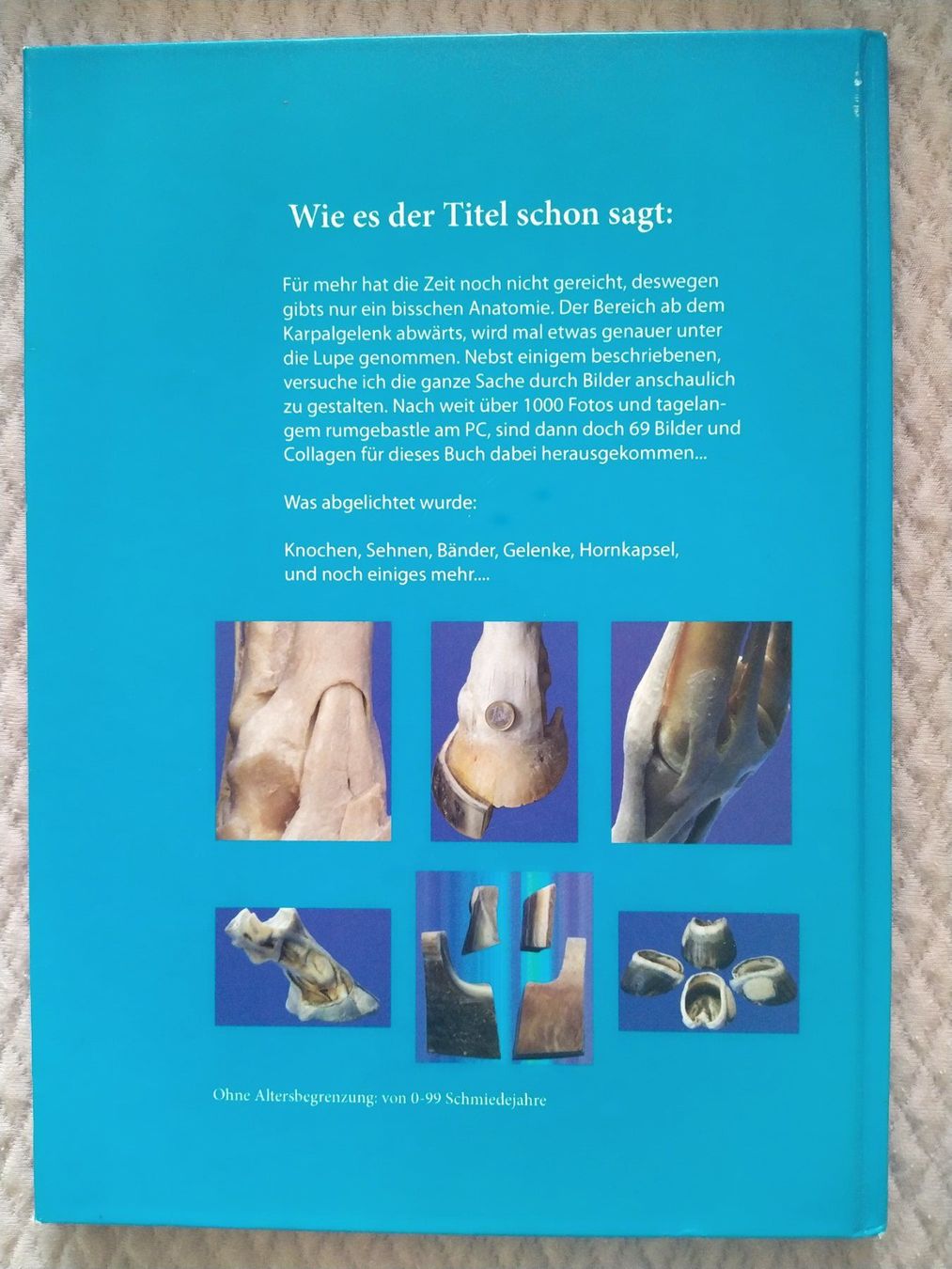 Libri: Buch Pferde - Ein bisschen Anatomie – Nuovo (secondo la descrizione) da Spreitenbach venduto da 77dancehall77 1