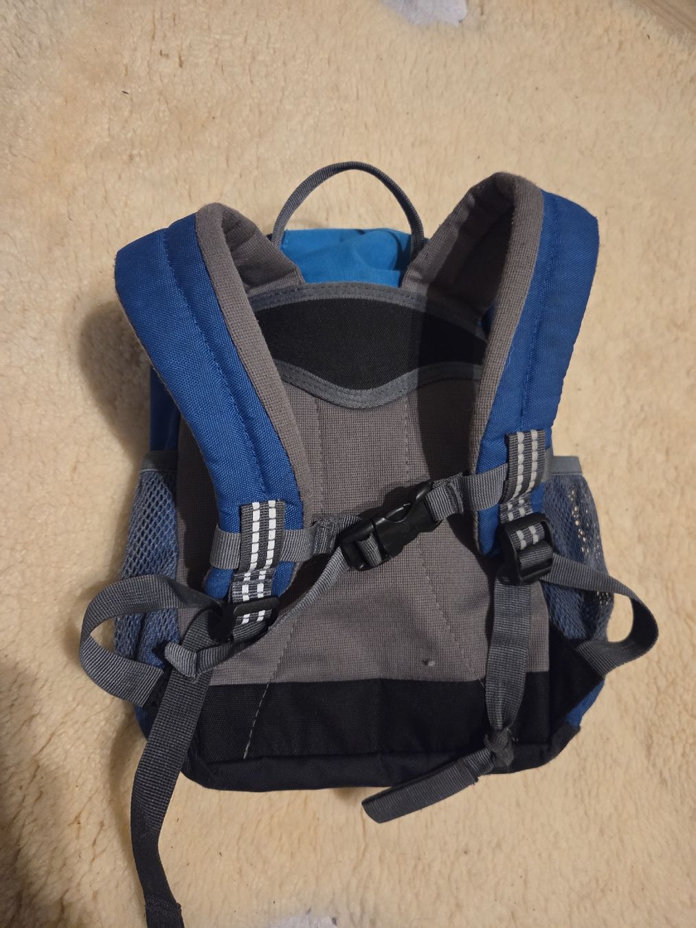 Deuter Borse & Zaini: Rucksack Deuter – Nuovo (secondo la descrizione) da Zernez venduto da fla_jdt6 1