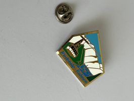 Riederalp-Bahnen Pin