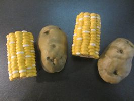 4 Bürsteli für Kartoffeln usw.