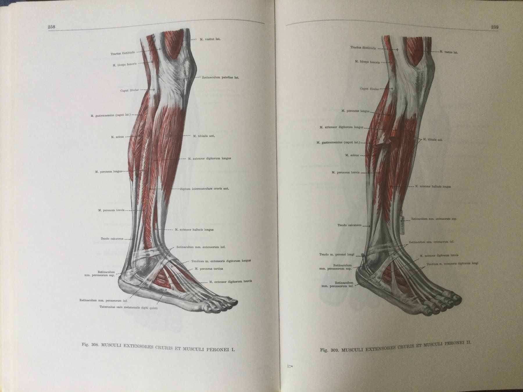Bücher: Anatomischer Atlas des Menschen, 3 Bände – Gebraucht aus St. Gallen von Lila_238 8