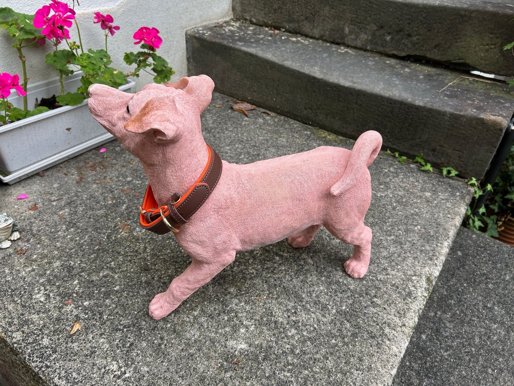 Statuette: H U N D rosa Nackthund – Usato da Rheineck venduto da emma.gut 7