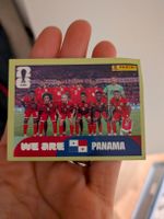 Panini PAN 13