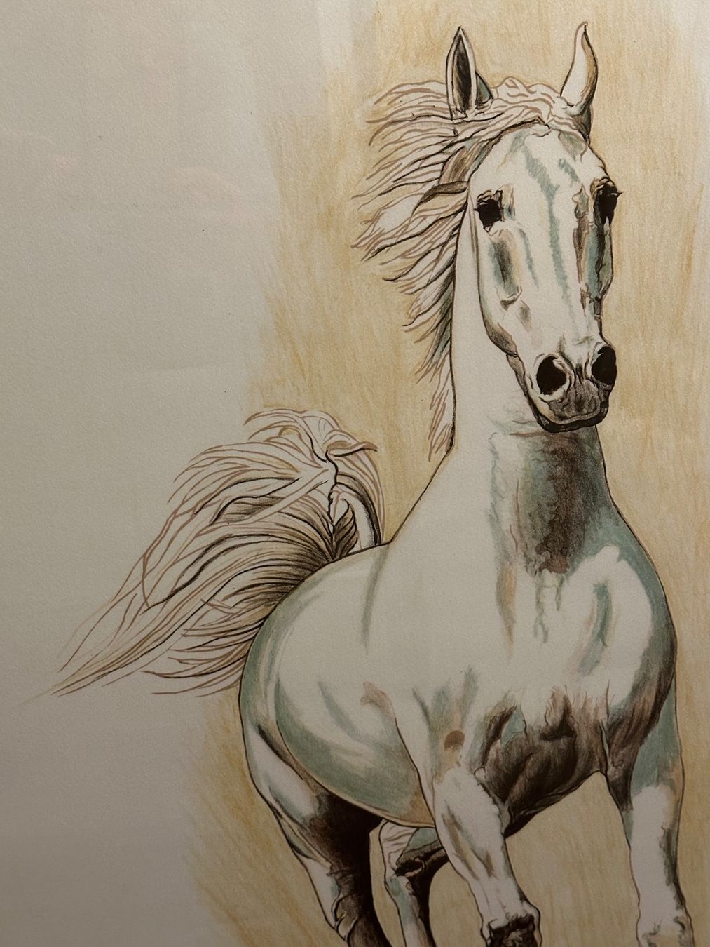 Grafica & Litografie: Pferdebild, Lithografie, 73x53 cm mit Holzrahmen – Usato da Oberhasli venduto da Luckygirl0 1