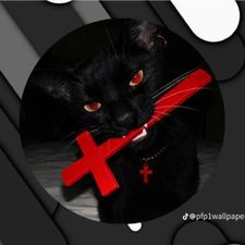Profile image of dav_x5dc