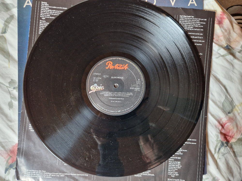 Dischi in vinile: Aldo Nova – Aldo Nova - z – Usato da Brittnau venduto da Zibu 4
