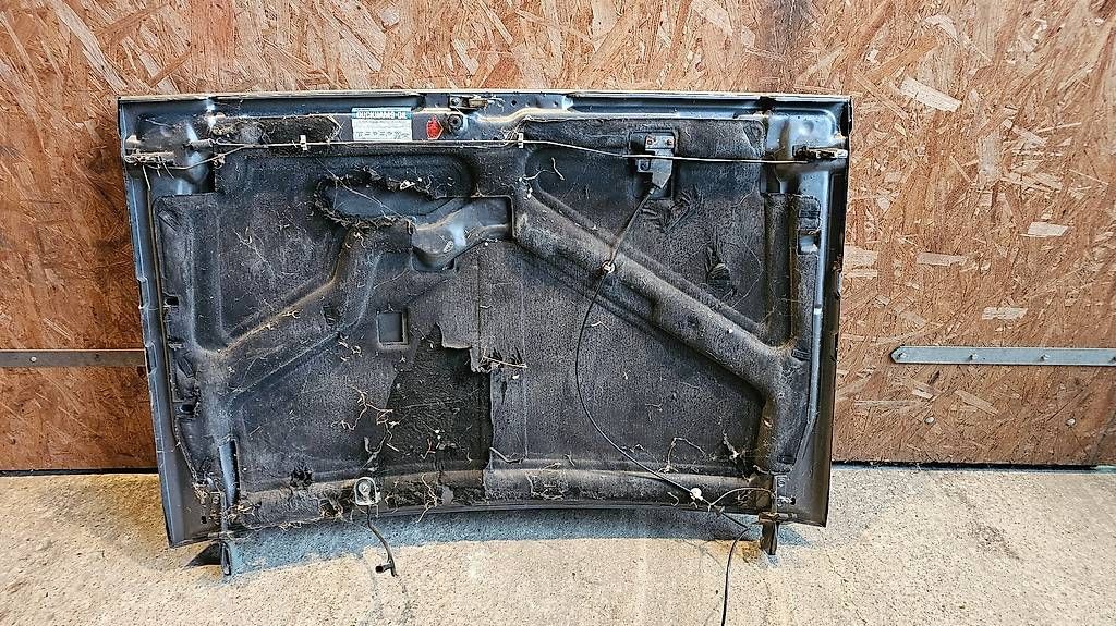 Jeep Tutti pezzi di ricambio auto: Motorhaube Jeep Cherokee XJ – Usato da Wettswil venduto da Swiss_Outlaw 3