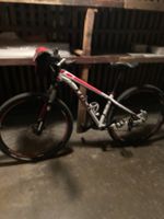 Velo, Trek X-Caliber 9 , Cross-Country-Hardtail-Mountainbike