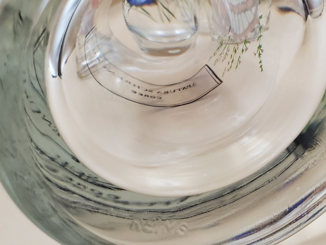 Bicchieri: 7 verres collection papillons du monde – Usato da Rennaz venduto da La_malle_du_dauphin 7